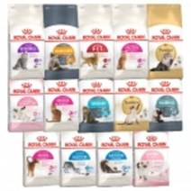 로얄캐닌 캣 2kg 기능성 고양이 전용 사료, 단품, 단품, 종류:키튼 스테럴 라이즈드