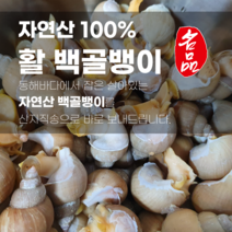 이브수산 동해바다 활 백골뱅이 1kg, [생물] 대 1kg 10-19 내외