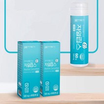 민트향으로 입안을 상쾌하게 자일립스 500mgx60정 / 구강제품 구취제거제 상쾌한