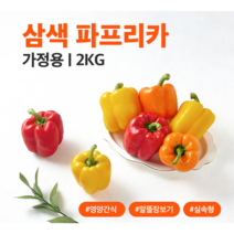 [지지팜] 산지직송 파프리카 가정용 2kg 빨강 노랑 주황 파프리카, 혼합 2kg, 1개