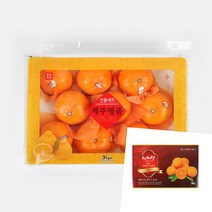 이지리치 천혜향 3KG 8-10과 제주명품천혜향 제주도천혜향