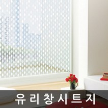 유리 창 시트지 샤워부스 필름 1m x 1m (T665)