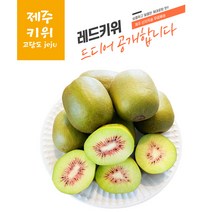 제주 산지직송 고당도 레드키위 2kg 3kg 5kg, 제주 레드키위 중대 (25과 전후)