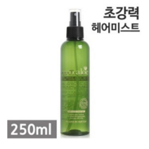 로제 에코 알로에 헤어 초강력 미스트, 250ml, 2개