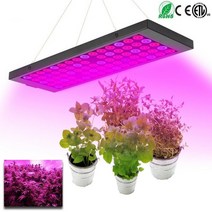 600w led 성장 빛 phyto 램프 전체 스펙트럼 식물 램프 성장 빛 수직 농업, 협력사, 유럽 ​​연합