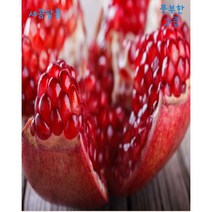 미국산 프리미엄 석류 2.5kg 생석류 선물세트 고당도 수입과일, 5kg 14과수내외