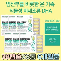 임산부 임신 초기 100% DHA 식물성 어취없는 오메가 3 솔루텍스 원료 복용시기 추천 PTP 개별 포장 온가족 패밀리 준비 중기 수유부 캡슐형 R-TG 비타민 D E 지용성