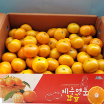 산지직송 제주도 서귀포 고당도 극조생감귤 제주 프리미엄 명품 감귤 가정용 새콤달콤 신선한 귤, 중대과(L-2L) 3kg