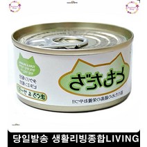 길고양이사료 캔간식 고양이기능성사료추천 고에너지 애완묘사료 고양이키울때 반려묘