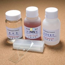 물벼룩 관찰세트/과학 실험 키트 교구 도구 만들기