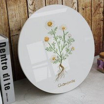 꾸밈데코_원형전면아크릴코팅액자_허브일러스트(cc753)_라운드액자인테리어액자벽장식월데코벽걸이액자, 체리세이지