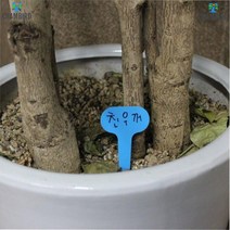 특이사항기록 부목재질 넉넉한용량 화분구분 식물라벨소