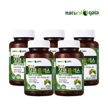 은행잎 징코 은행엽 추출물 트리플 플러스 플라보놀배당체 28.8mg 성분 아연 비타민B6 부모님 건강식품, 60정 X 5병