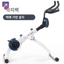 자전거 실내 입식 서서타는 스탠딩 바이크, 극지방 화이트 (배달가방 설치)