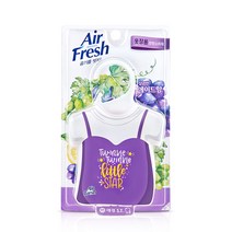 홈즈 에어후레쉬 옷장용 방향제 에이드향 32g, 1개