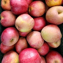 [10-11월한정] 고당도 사과 감홍사과 경북사과 사과선물세트, 2kg, 1박스