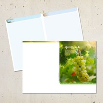 계절 디자인 주보용지 교회 순서지 예배 주보지 안내지 청년부 주일학교 교회행사 성경학교 맥추 추수감사 성탄절 사순절, EA-14
