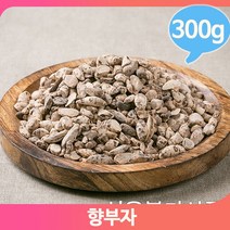 사초 향부자 뿌리씨 300g 건조 덩이줄기 비식품