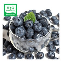[푸르젠] 22년산 무농약 급냉 블루베리 3kg(500g 6봉)/상품/13mm~18mm이하, 상세 설명 참조, 상세 설명 참조
