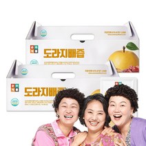 순수식품 도라지배즙, 80ml, 50개