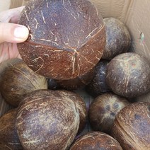 천연이온음료 야자코코넛 1개당 1kg내외, 3입