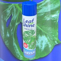 잎광택제 크리잘 잎먼지제거 스프레이 600ml