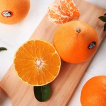 2022년 제주 황금향 3kg (7~10입) 특대과