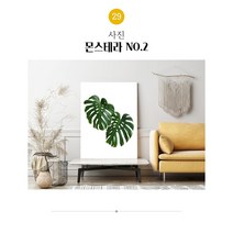 해바라기 캔버스액자주문제작 그림액자 30종 (16-30), 29. 몬스테라 NO.2