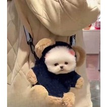 고양이산책가방 외축 슬링백 애견 고양이아기띠 이동, 검정색 (머리 포함 길이 20cm) S-소형