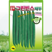 그린빈스채두 콩씨앗 콩씨 종자 10g, 1개
