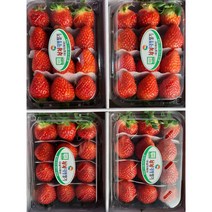 (과일천국1번지) 달콤한 생 딸기 (3*4), 2kg(500g*4팩)