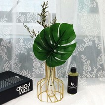 골드 몬스테라 천연 디퓨저 100ml 실내 방향제, 꽃집향
