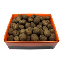 삼다몰 제주 탐나감자 3kg 5kg 10kg, 탐나감자(중) 10kg(81~120개 내외)