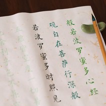 장서 붓글씨첩 입문 모사 성인 초보자 글씨 서예모-133753, 옵션24, 백지약초 12종세트 (8종세트 2색 새붓 2병 채묵)