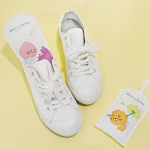 카카오 리틀프렌즈 어피치 재사용 워터글라스 제습백 습기제거제 옷장제습제, 단품