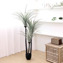 기타 바보사랑[조아트]고급 인조나무 조화화분 드라세나 드라코 165cm[무료배송]
