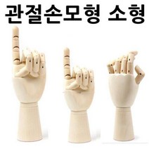 관절손모형 소형 손모형 조형물 손골격 손관절 관찰 손모형 조형물 손골격모형 손관절모형 원목손모형