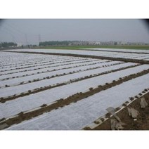 농업용부직포 마늘부직포 농사용 과수원 비닐부직포 비닐하우스, 본래백색25gx1.5mx500m