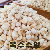 밥보야 22년산 국산 찰옥수수알 옥수수알갱이 1kg 옥수수범벅 옥수수밥, 1개