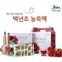 헬스코리아식품 제주 백년초 농축액 손바닥 선인장 액기스 백련초 열매 즙 진액 차 줄기 엑기스 특산품, 60포, 100ml