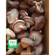 무농약인증 GAP인증 예산표고버섯 못난이 (무료배송) 생표고버섯 가정용으로 추천 다시용 가루용 대량용 육수용 김정용 식당용 건조용 농장직송, 못난이 8kg, 1개