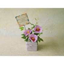 국가보훈대상자 무궁화 조화화분