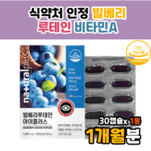 빌베리 빌베루 bilberry 추천 루테인 슈퍼 직구빌베리루테인 아이플러스 비타민에이 아이 플러스 빌베리루테인 루테인빌베리 루텐빌베리 빌배리 베리