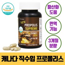 캐나다 프로폴리스 면역력 에좋은 높이는 영양제 캡슐 식약처 인증 온가족 항산화 작용 비 플로폴리스 프로폴리 푸로폴리스 3개월