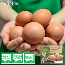 자연방사달걀40구 판매 TOP20 가격 비교 및 구매평