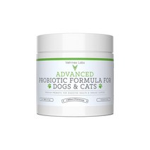 Vetrinex Labs 베트리넥스랩 강아지 고양이 식분증 설사 유산균 7균종 파우더 가루 120g, 1팩, 무미