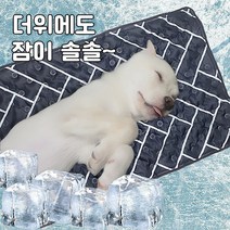 똘멍 강아지 애견 대형견 쿨매트
