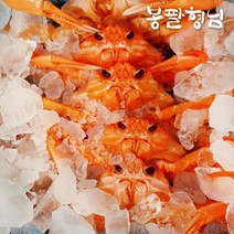 제철 자숙 홍게 3kg (일반) 9-11마리, 단품