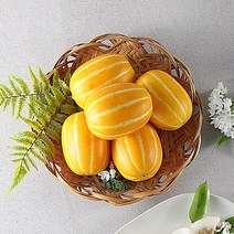 지안농산 당도보장 산지직송 알뜰 성주 꿀참외 실중량 10kg, 1box, 알뜰 꿀참외 10kg(특대과)