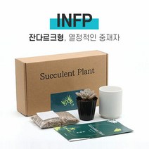 MBTI 다육이 키우기 키트 INFP, 다육이 선택:유접곡